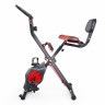 Велотренажер X-Bike DFC PLENY CF-917FM Велотренажер X-Bike DFC PLENY CF-917FM